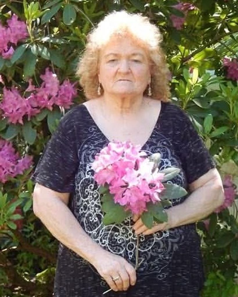 Dianna Lee Wilkins Profile Photo