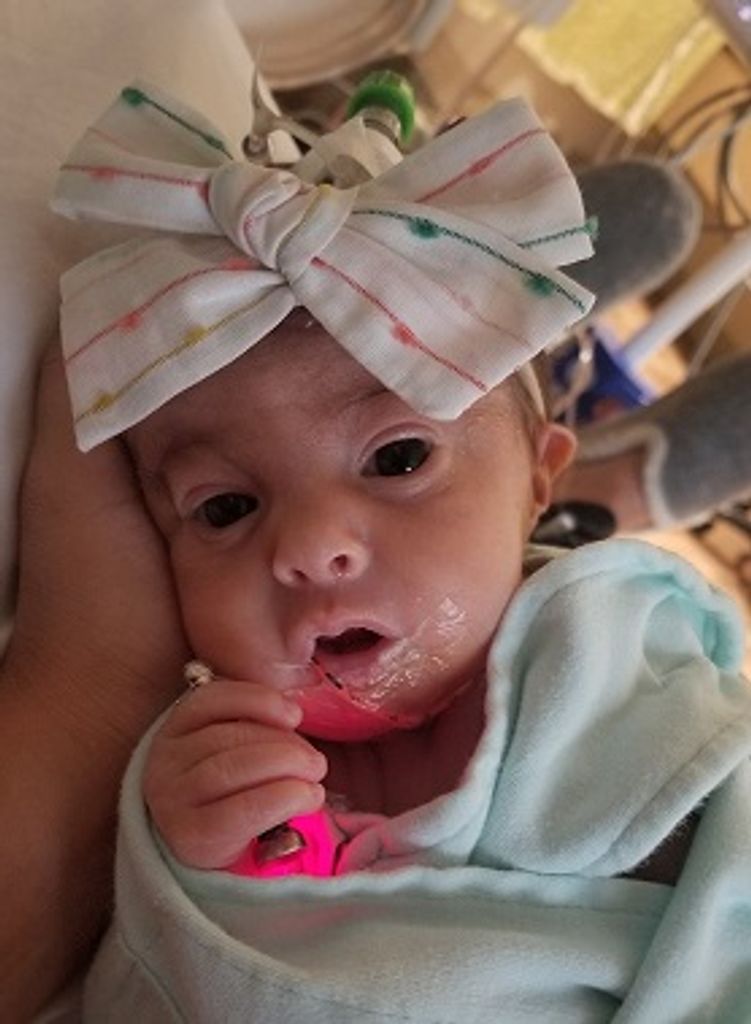 Margot Schoeppner Profile Photo