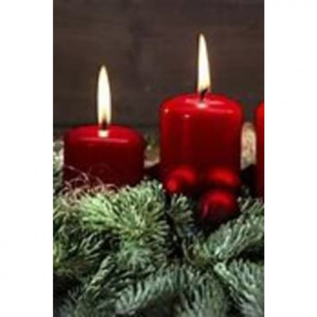 Pauline Ruth Cota Profile Photo