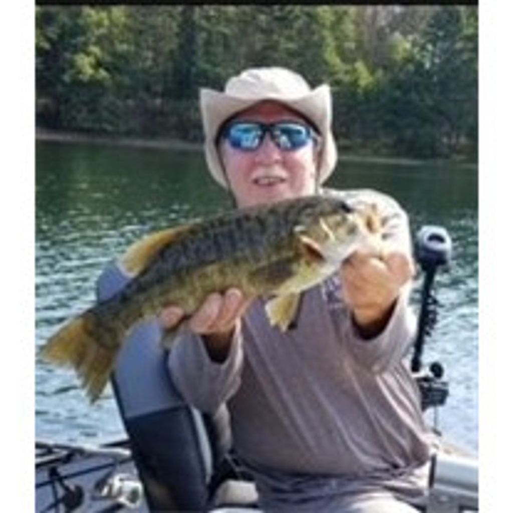 David A. Pollack Profile Photo