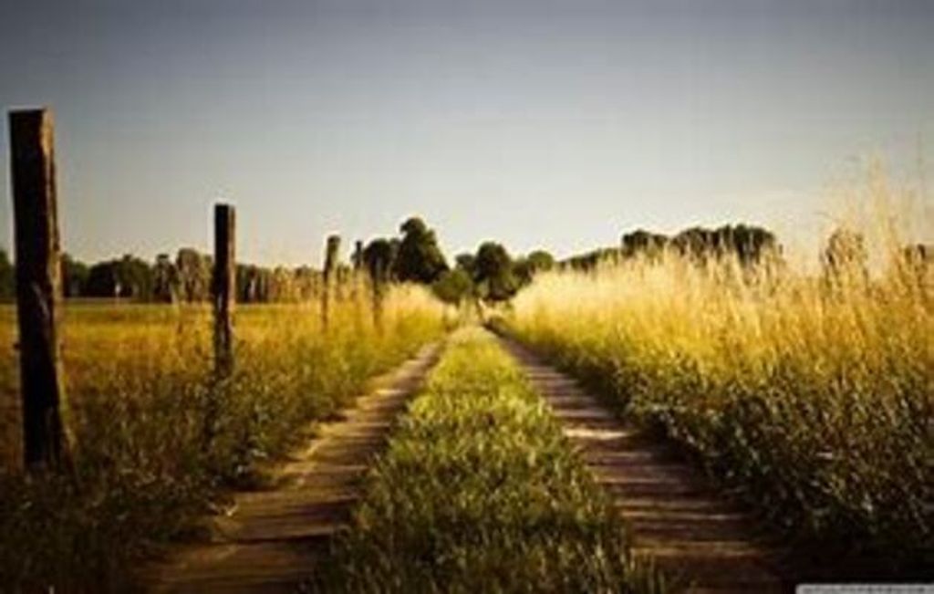 William "Vernon" White