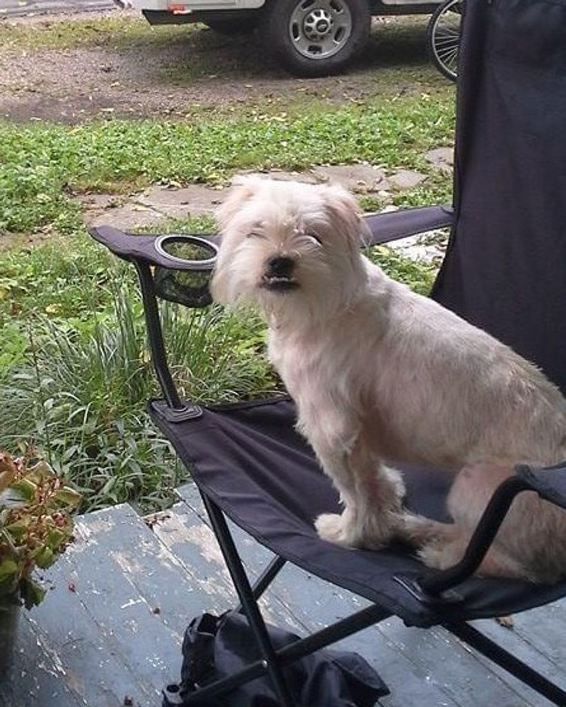 Max "Maxi Pad" Milner Profile Photo