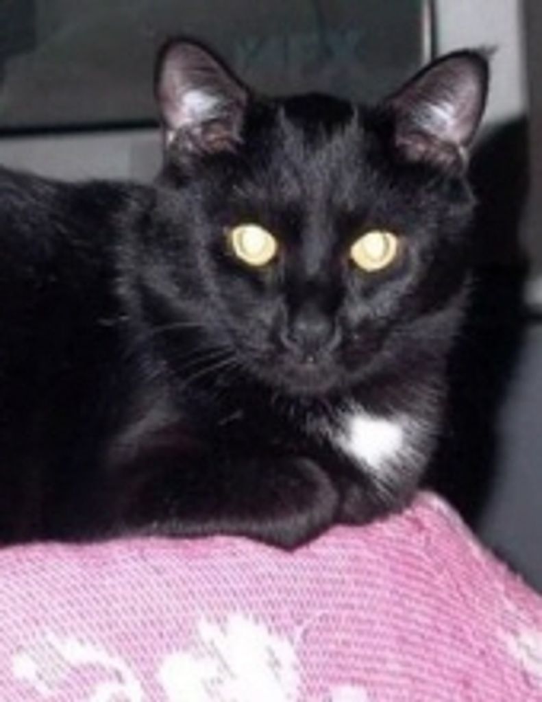 Boudreaux Fielder Profile Photo