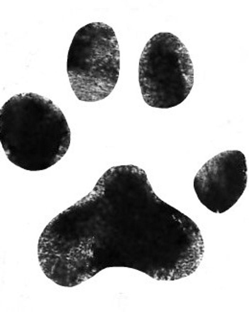 Biscuit Rigdon Profile Photo