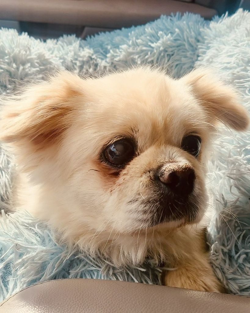 Max 🖤 Profile Photo