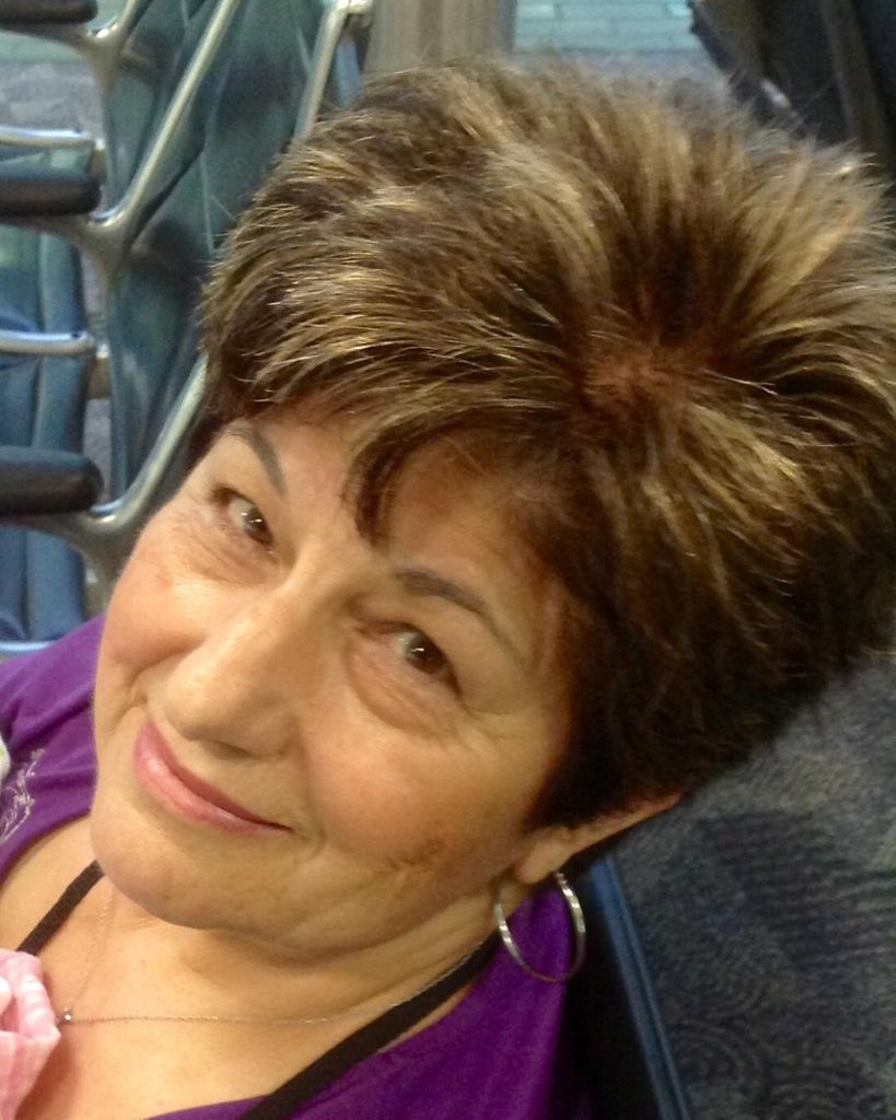 Seta D Hammer Profile Photo