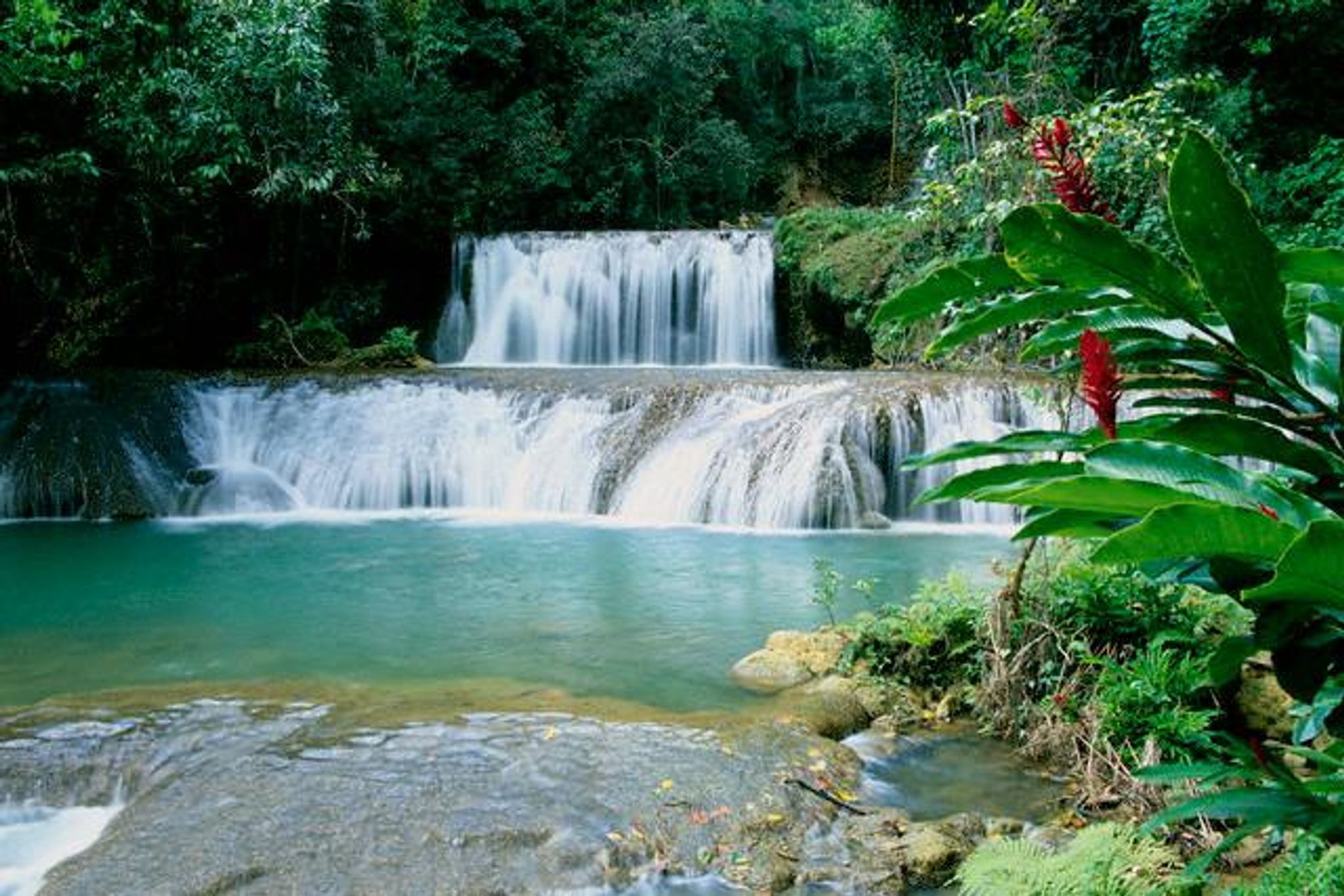 Cover for Ann Marie "Charm" Green-Blake's Obituary