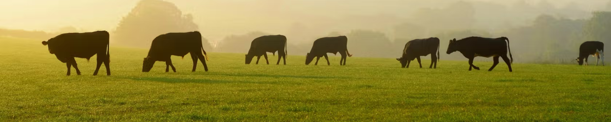 Cover for William Joseph "Bill" Burdette's Obituary