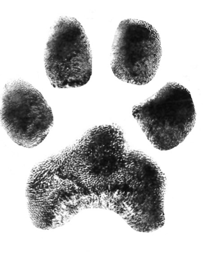 House Hudson Profile Photo