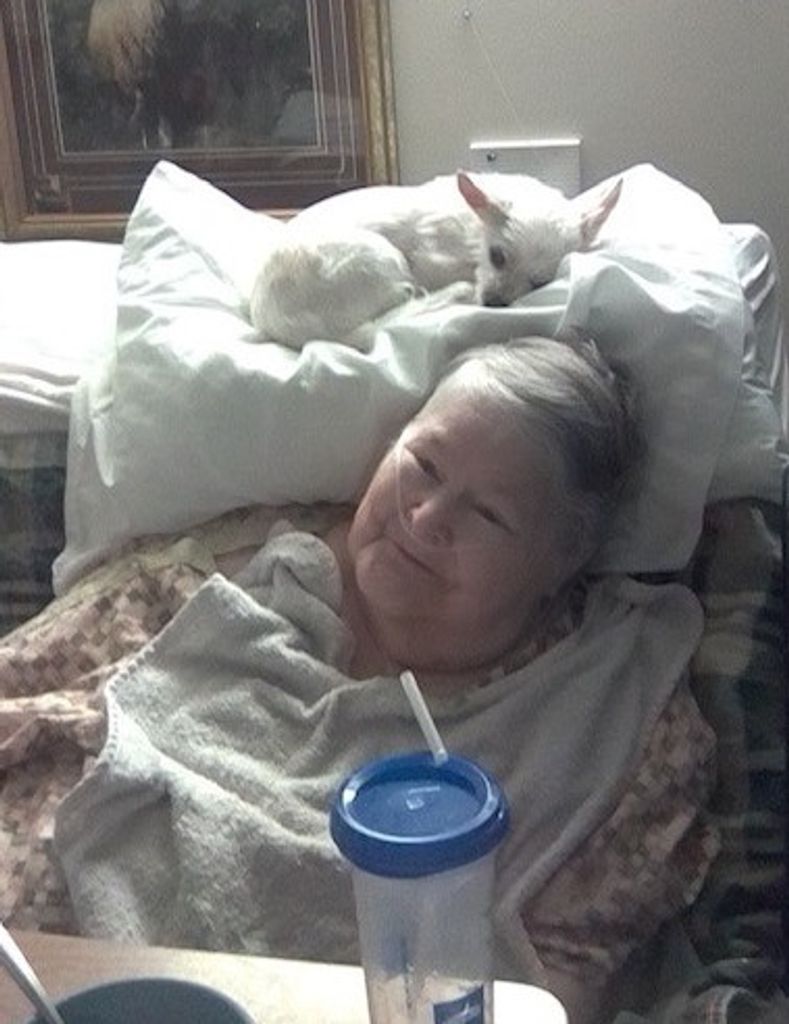 Janice Elaine Haynes Profile Photo