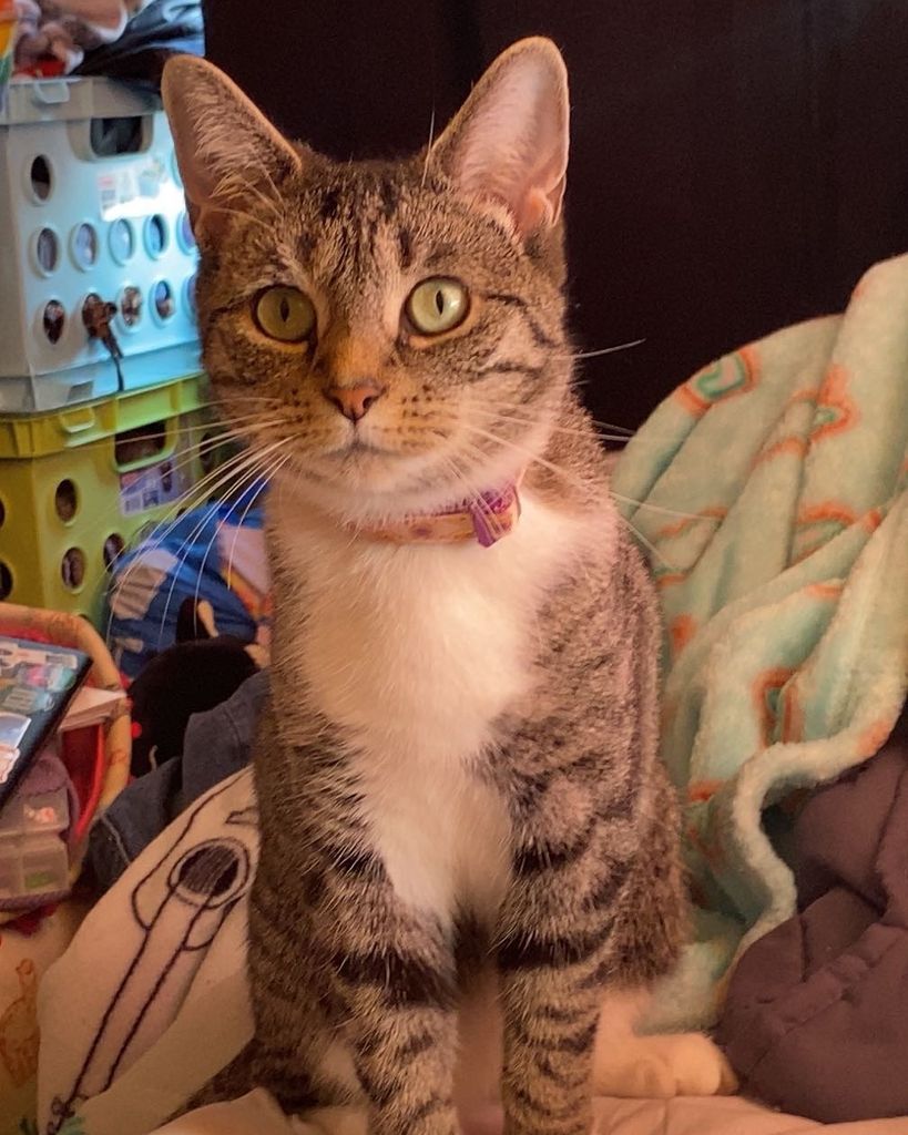 Minie Willow Weaver Profile Photo