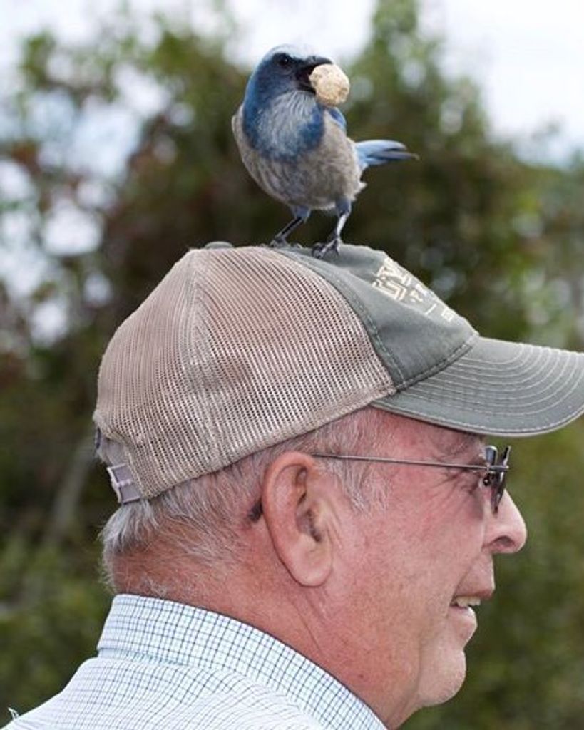 John Mitchell Lynd Profile Photo