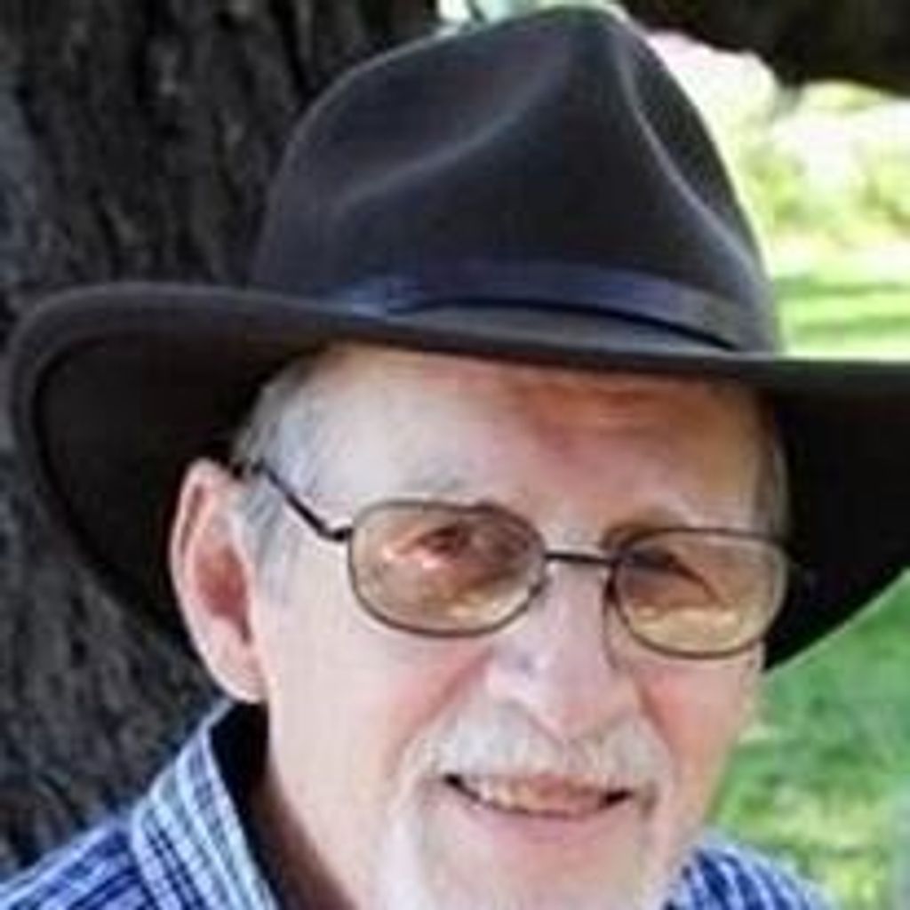Joseph H Mattingly