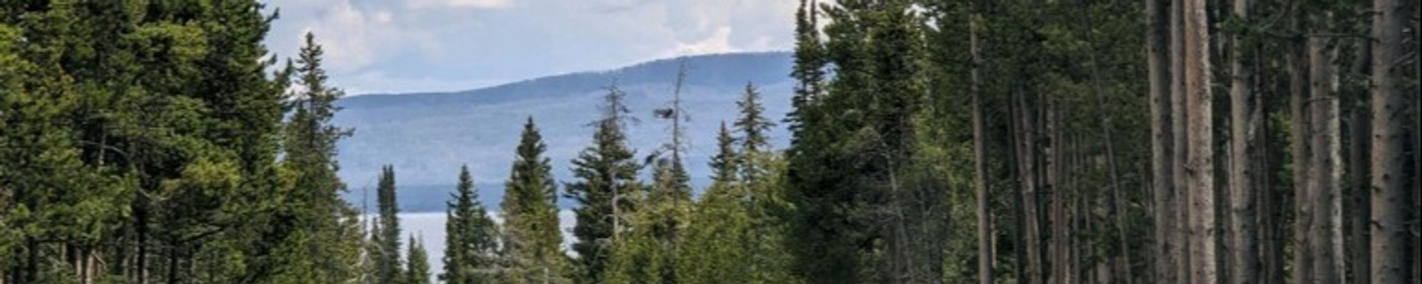 Cover photo for Ronald "Ron" Rehurek's Obituary