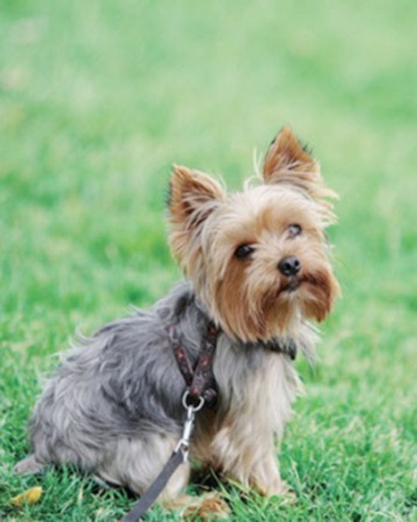 Glenda Faye (Barbour) Beachley Profile Photo