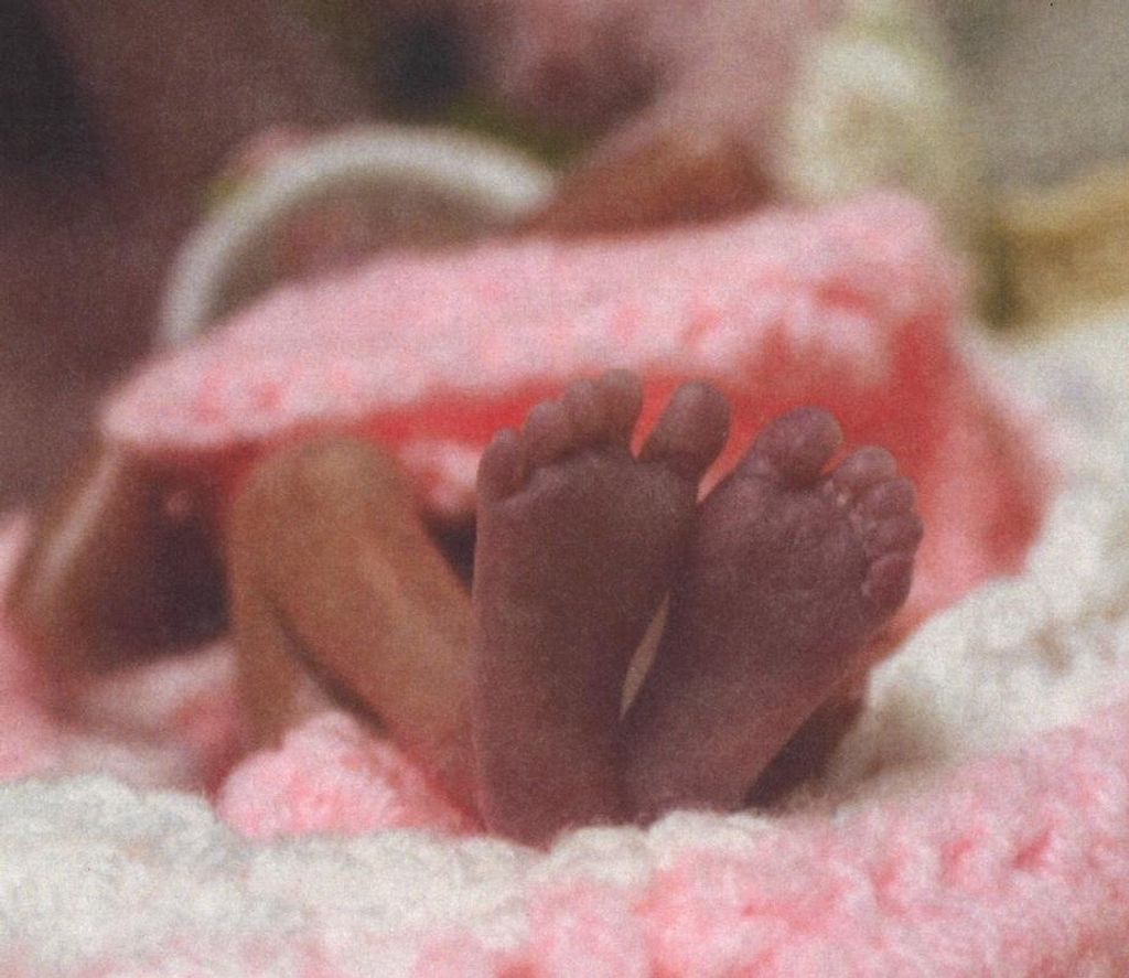 Camila Grey Flores