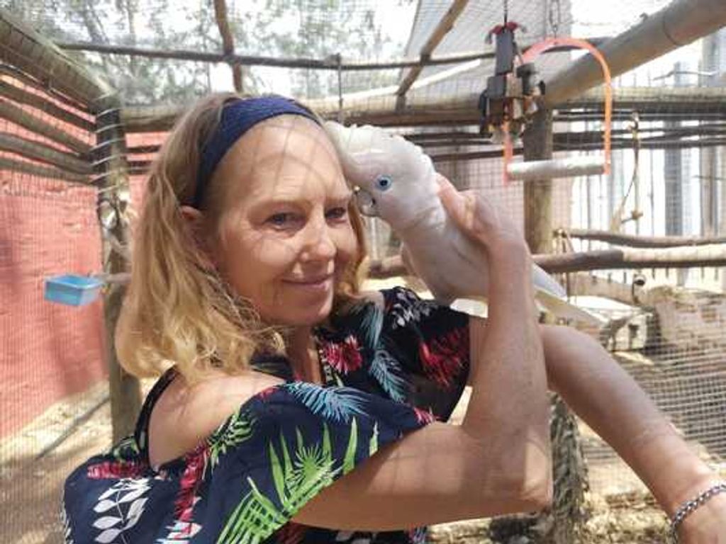 Amy Arnold Serfontein Profile Photo