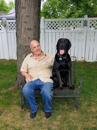 David H. Krohn's obituary image