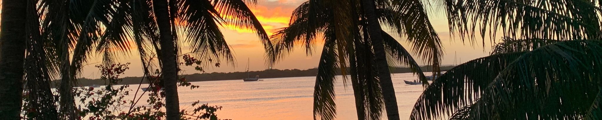 Cover for Julie Ann Miller's Obituary