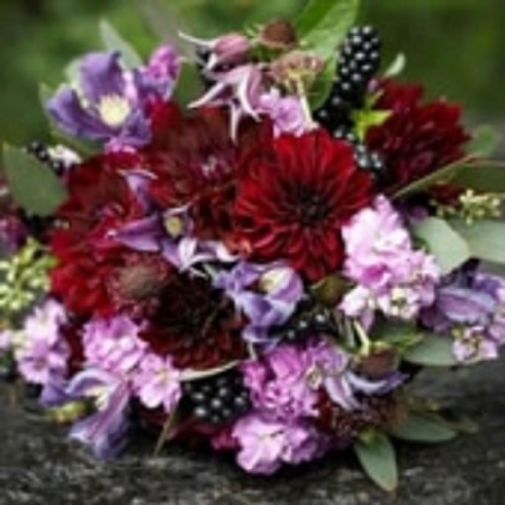 Constance Thompson Frazier