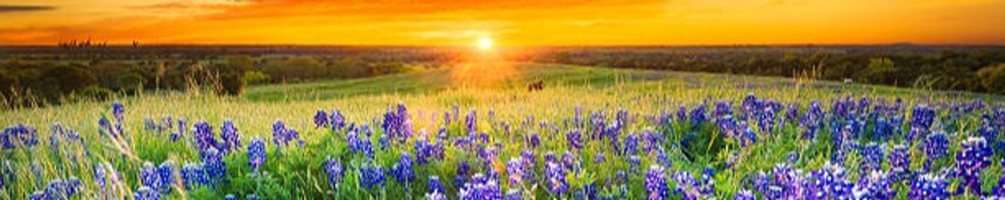 Cover photo for Rebekah Treadway's Obituary