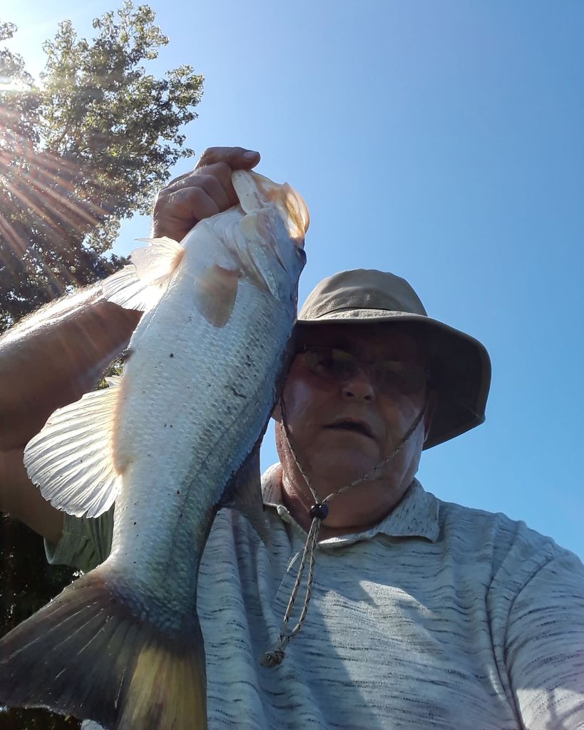 Harlan Bubba Don Caldwell