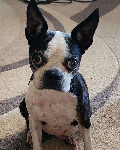 Fancy Butt Tate's obituary image