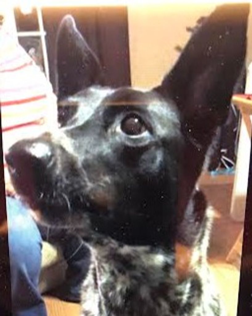Pepper Barnes Profile Photo