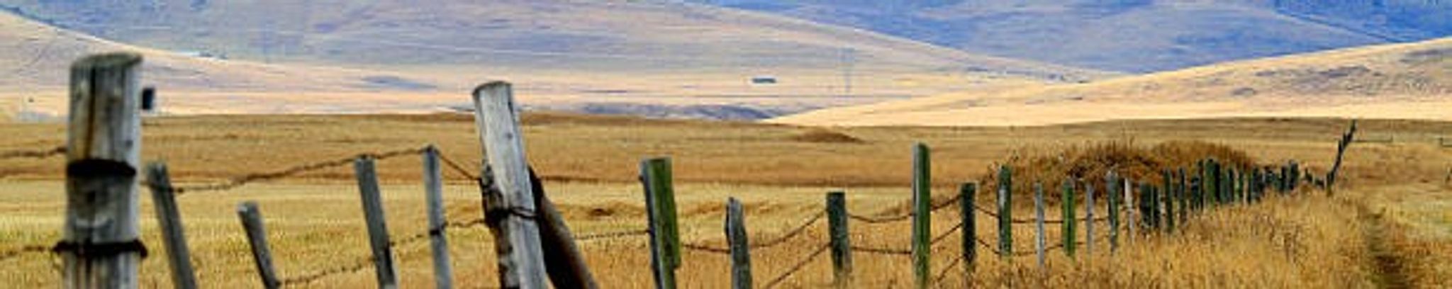 Cover for Gordon Eugene Jones's Obituary