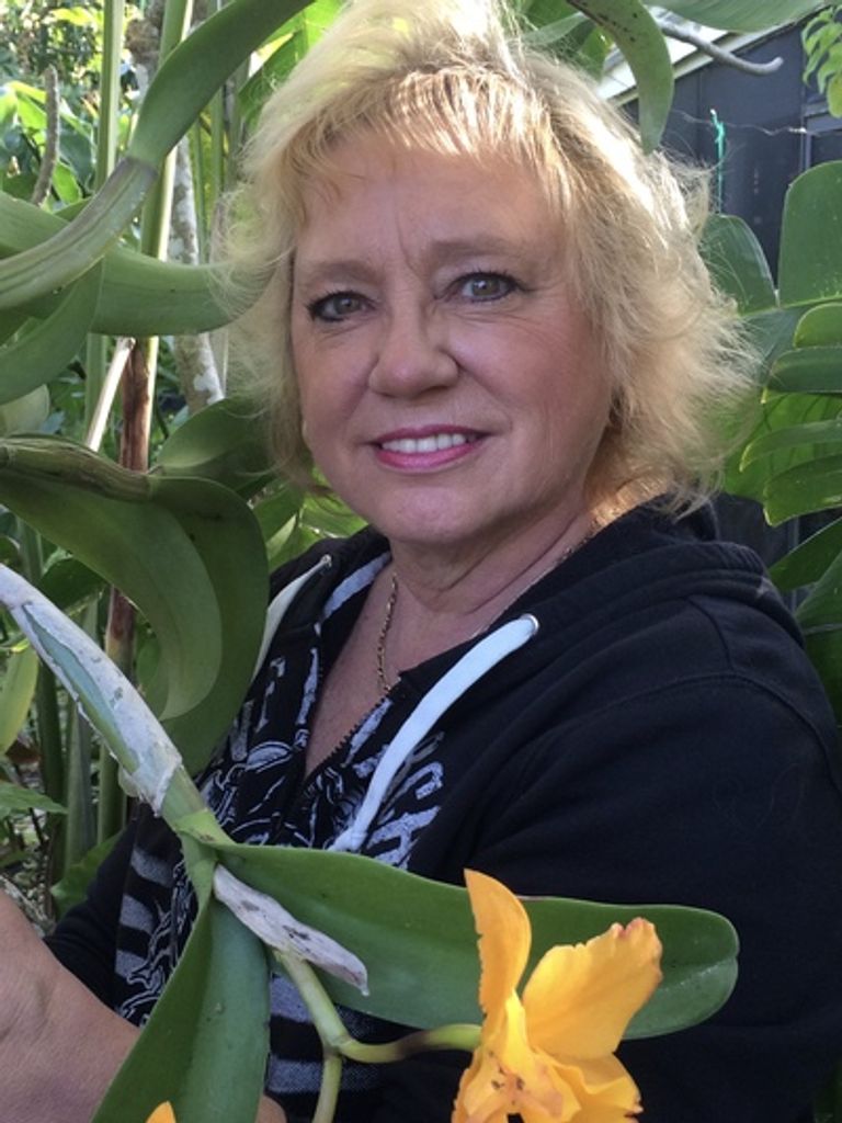 Carol L. Prociw Profile Photo