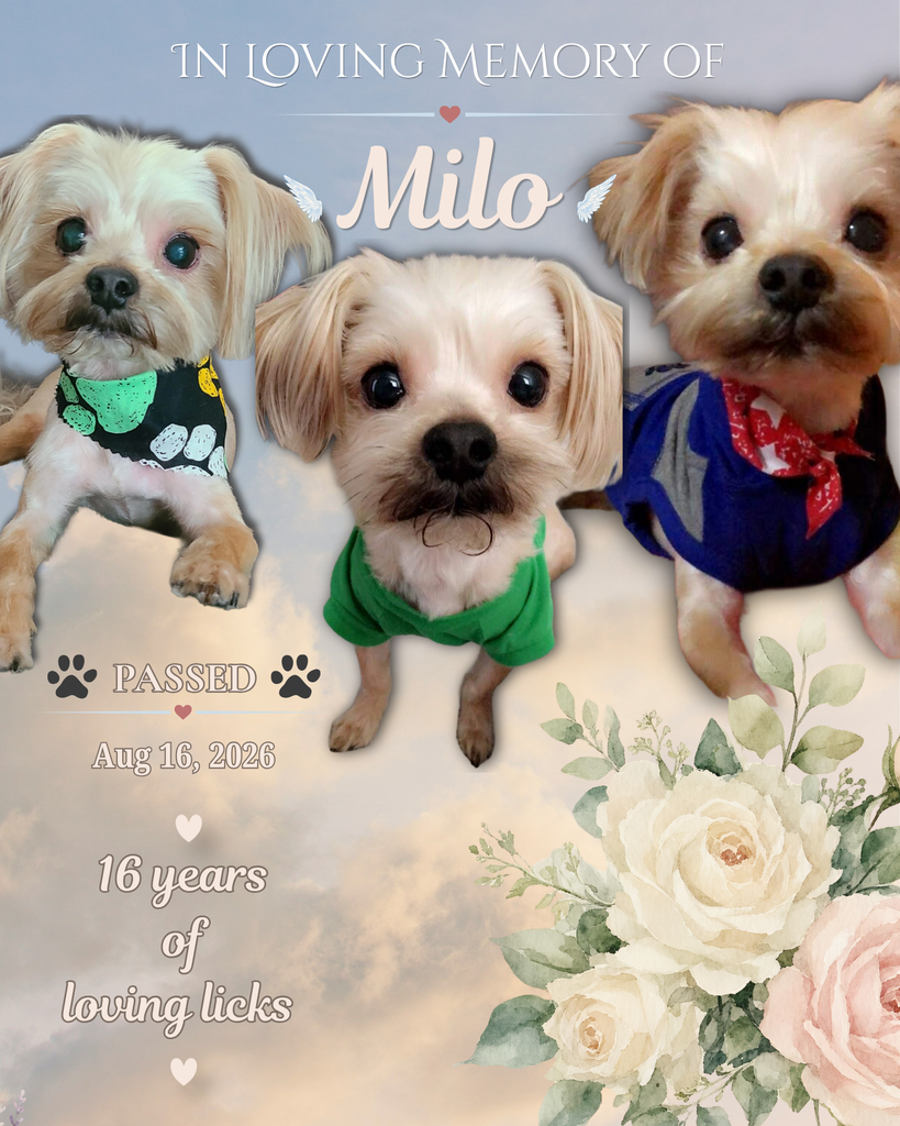 Milo Profile Photo