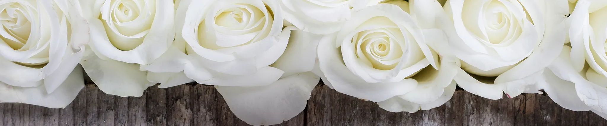 Cover photo for Veronica Beth Patterson's Obituary