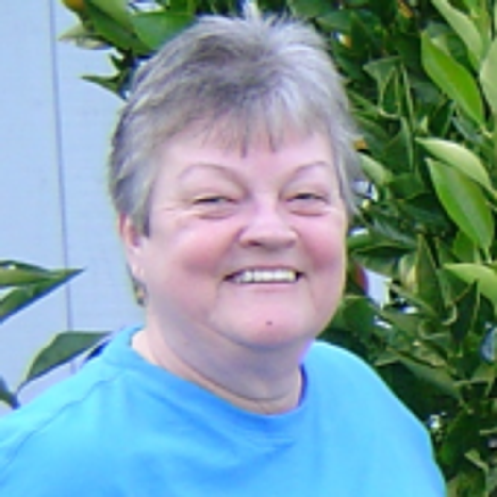 Dianne Kay Hollerbach-Block