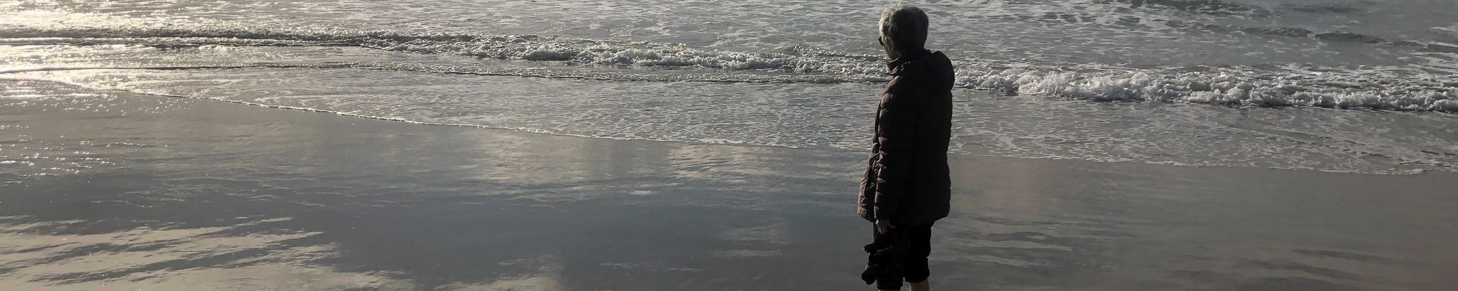 Cover photo for Mimi Yin Lam's Obituary