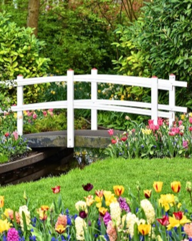 Catherine Schmitt Profile Photo