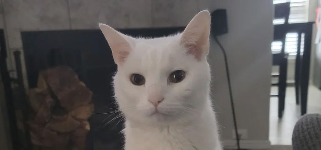 Gary Profile Photo
