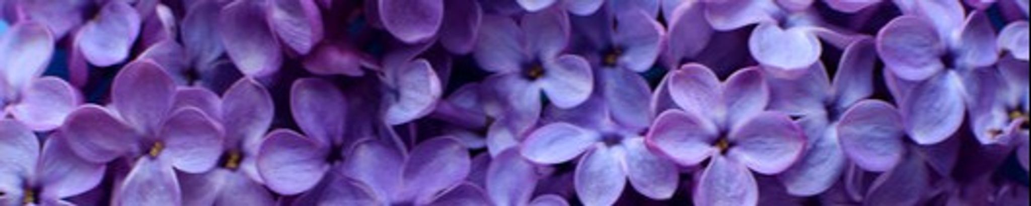 Cover photo for Margarita G. Castro's Obituary