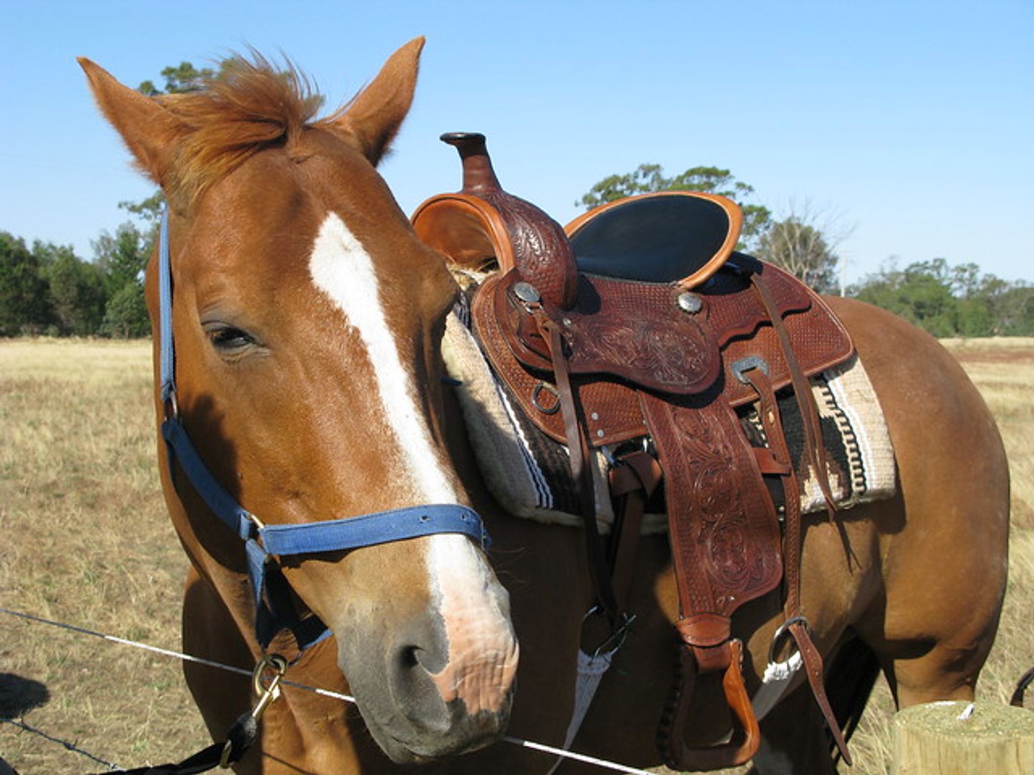 Cover photo for Jerry Almer Jackson's Obituary