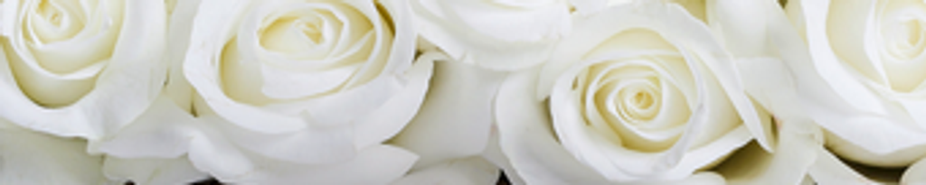 Cover photo for Karin Helga Barthel's Obituary