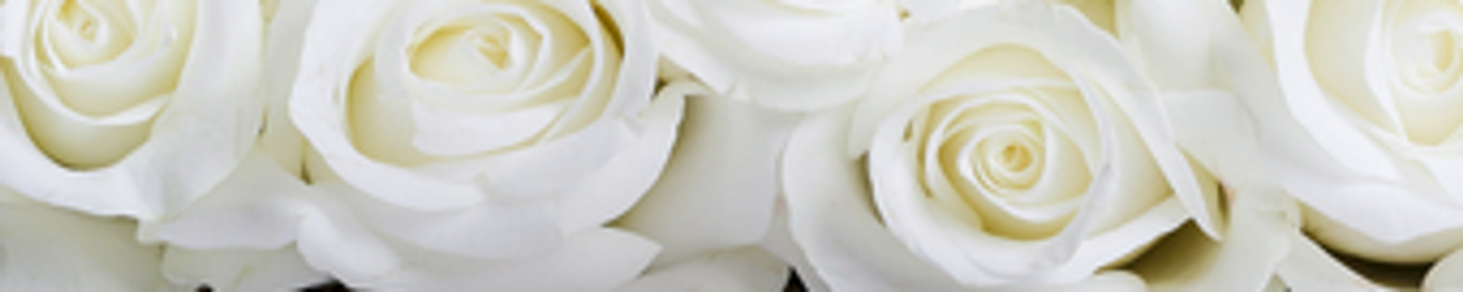 Cover for Karin Helga Barthel's Obituary