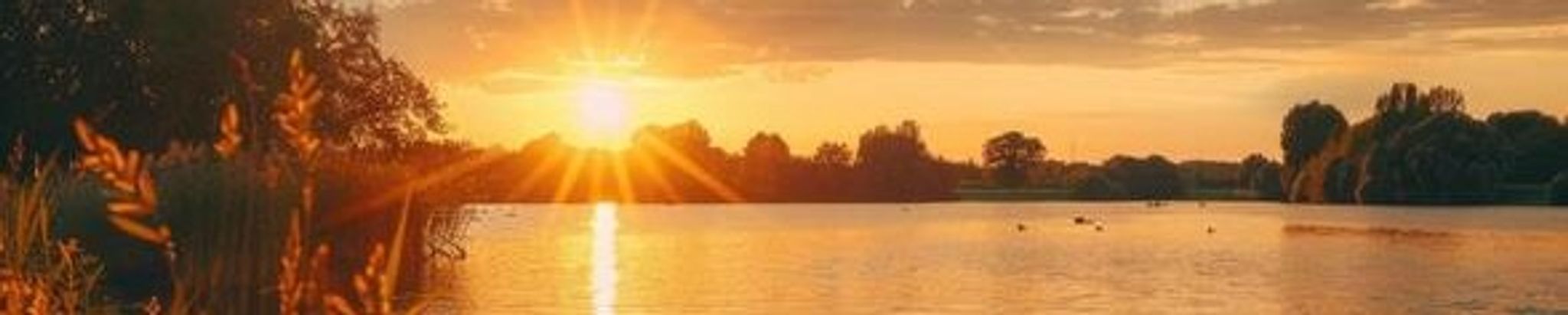 Cover for Marilyn Kay Landreneau's Obituary