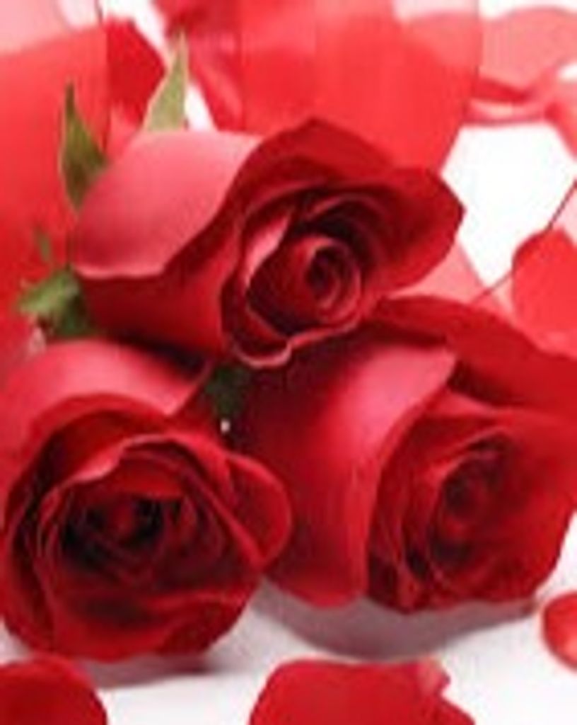 Laraine Rose Williams 80