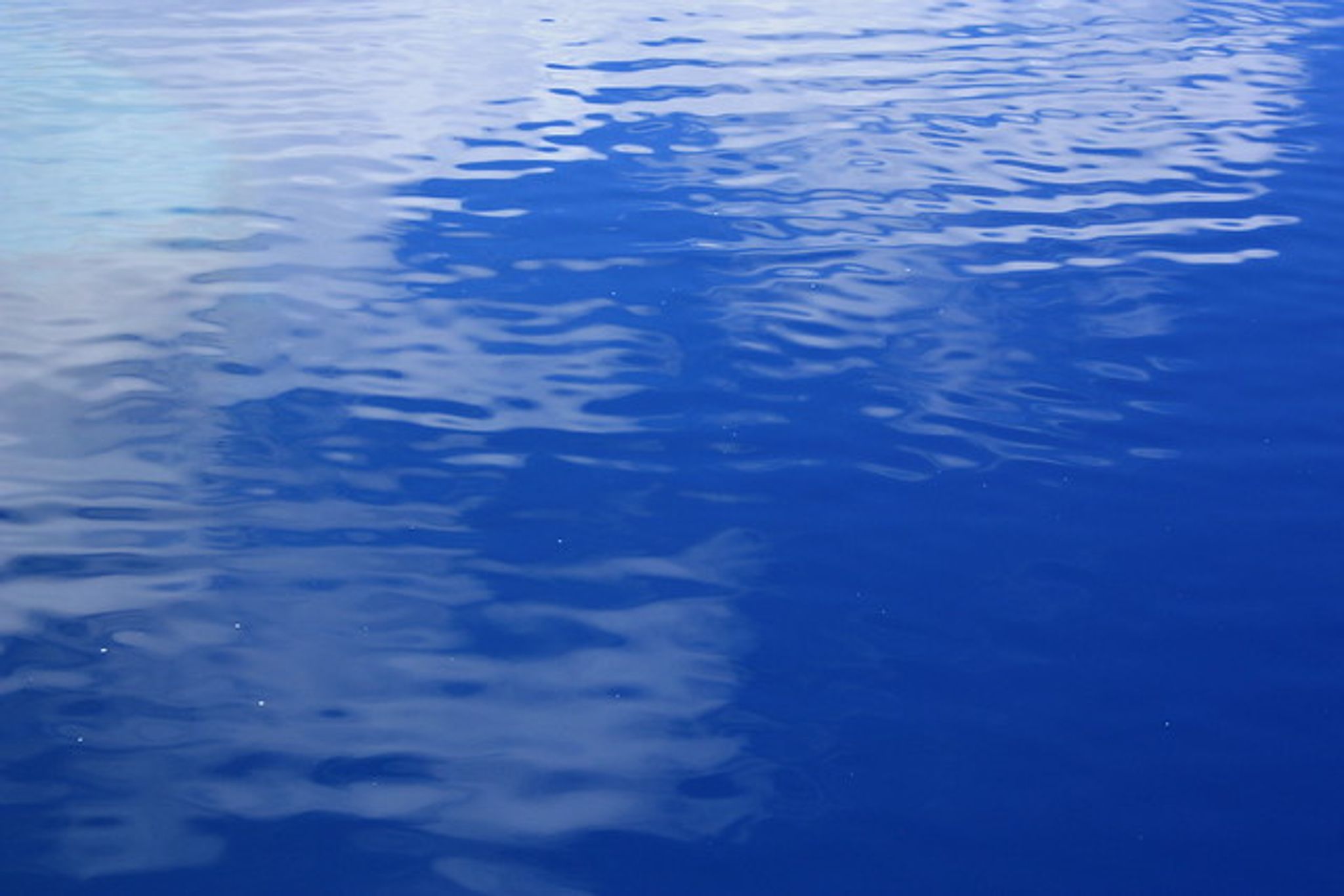 Cover photo for William Frank Ross Jr.'s Obituary