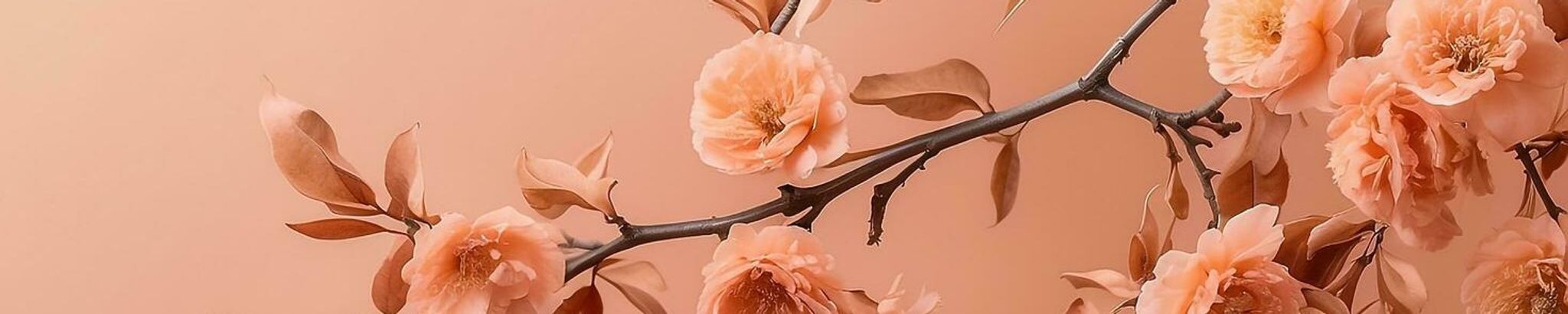 Cover photo for Marie Johnson's Obituary