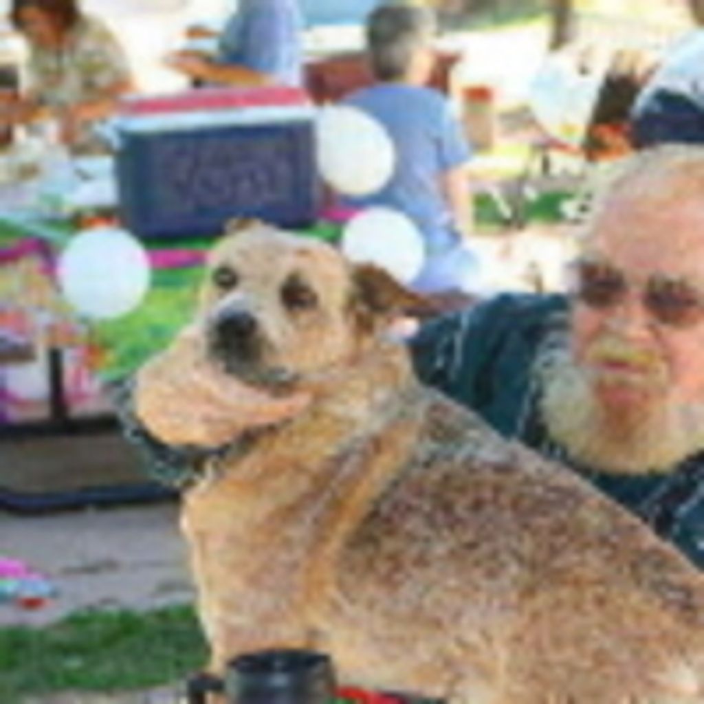Jessie Davis