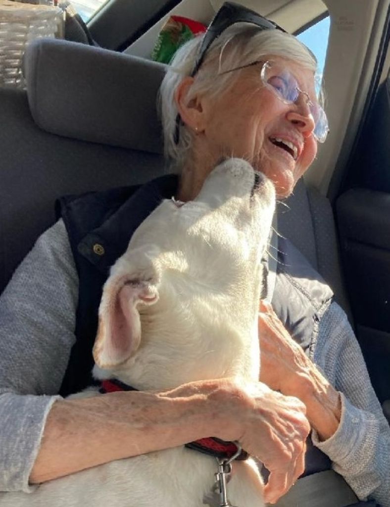 Judy Christopher (Troyer)  Carpenter Profile Photo