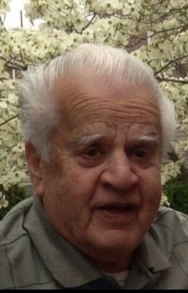 Louis Pingitore Profile Photo