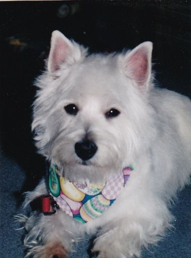 Donald R. Milroy photo gallery thumbnail 24 of 116