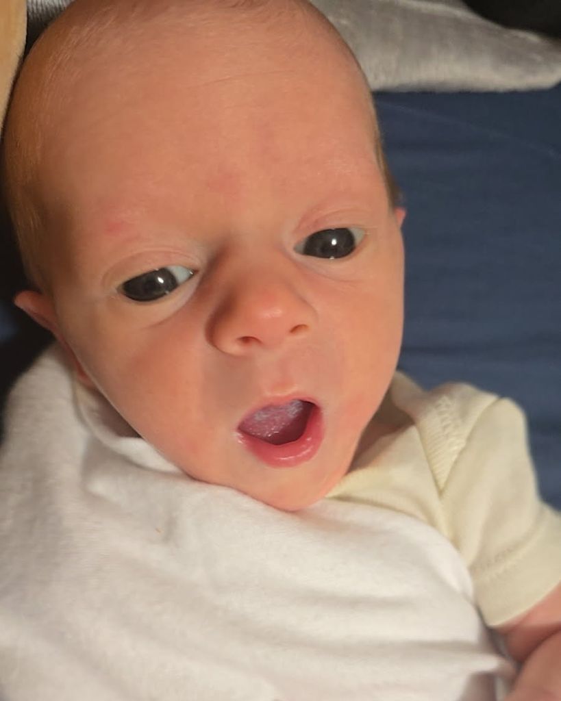 Quinn Willow Lynn Hamilton