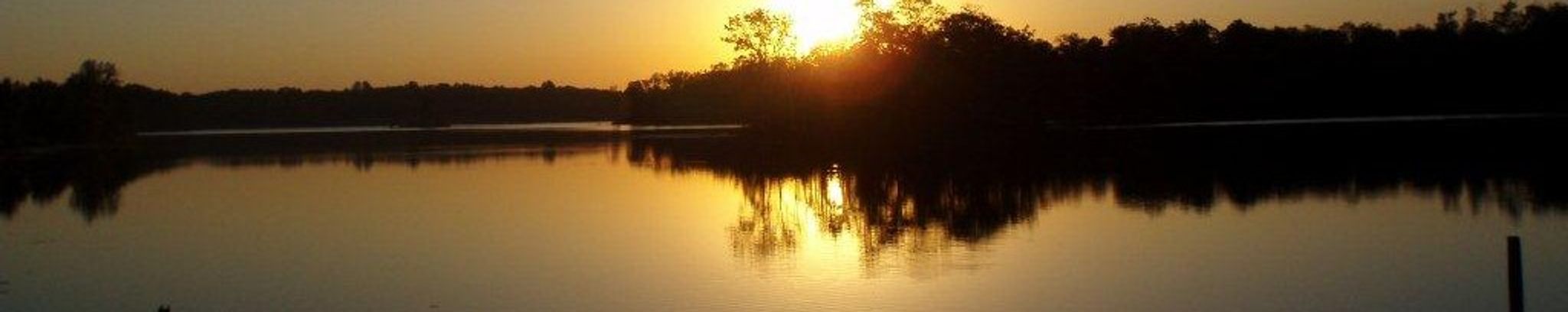 Cover photo for Dianne Mae Bailey's Obituary